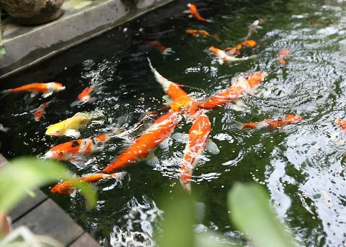 Serene 3* Bangkok